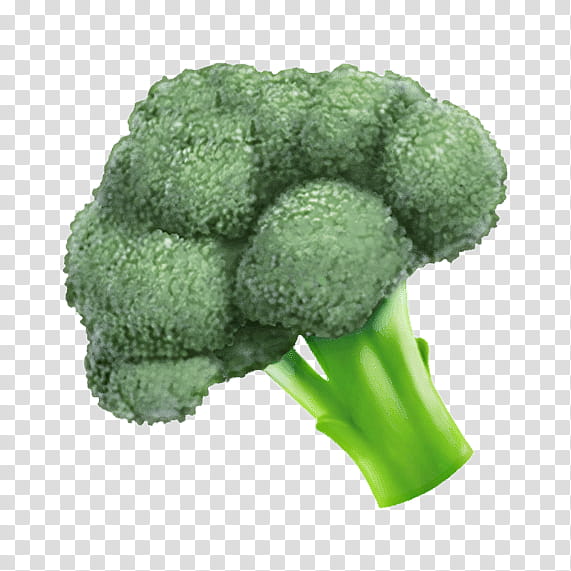 Vegetables, Italica Group, Broccoli, Leaf Vegetable, Cauliflower, Plant, Wild Cabbage, Food transparent background PNG clipart