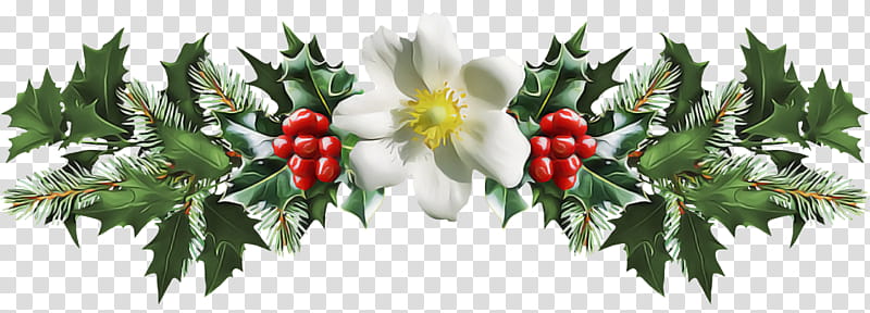 christmas holly Ilex holly, Christmas , Plant, Flower, Fruit, Berry, Branch, Food transparent background PNG clipart