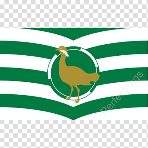 Green Grass, Flag Of Wiltshire, Swindon, Wiltshire And Swindon History Centre, Great Bustard, Wiltshire County Council, United States Of America, Borough Of Swindon transparent background PNG clipart