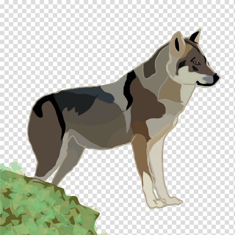 June, Saarloos Wolfdog, Czechoslovakian Wolfdog, Siberian Husky, Shikoku, Canaan Dog, Landscape, June 13 transparent background PNG clipart