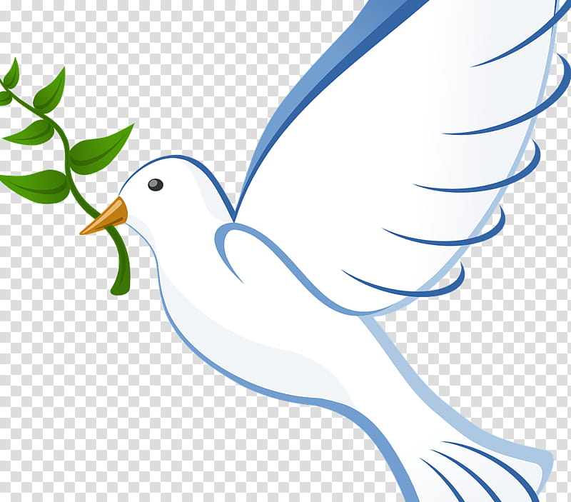 Bird Line Drawing, Pigeons And Doves, Mourning Dove, Email, Beak, Leaf, Flora, Water Bird transparent background PNG clipart
