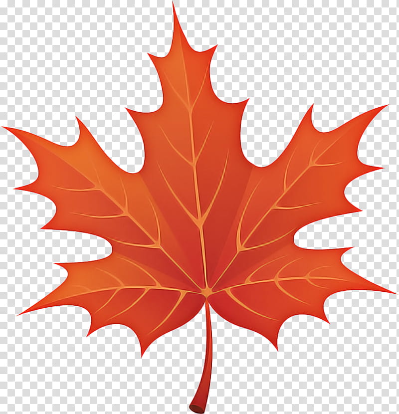 How to Draw an Oak Leaf Step by Step - EasyLineDrawing