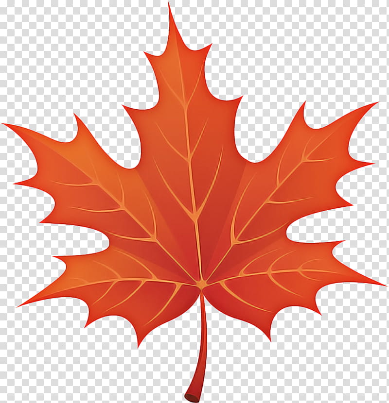 Autumn Leaf Drawing, Autumn Leaf Color, Cartoon, Maple, Maple Leaf