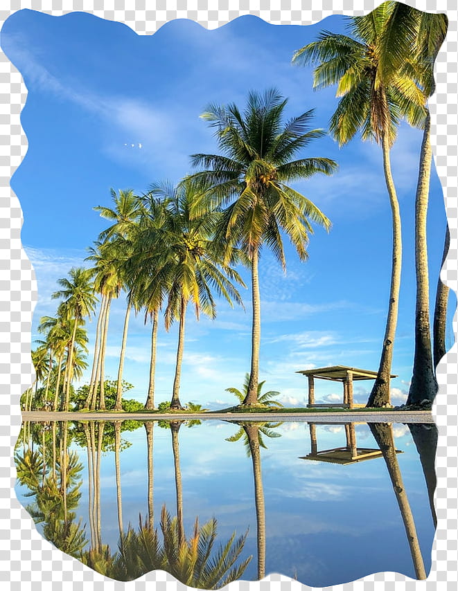 Travel Blue Sky, Majorelle Blue, Caribbean, Water, Tropics, Tourism, Vacation, Nature transparent background PNG clipart