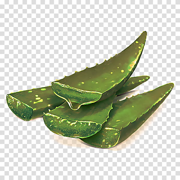 leaf plant aloe snow peas food transparent background PNG clipart