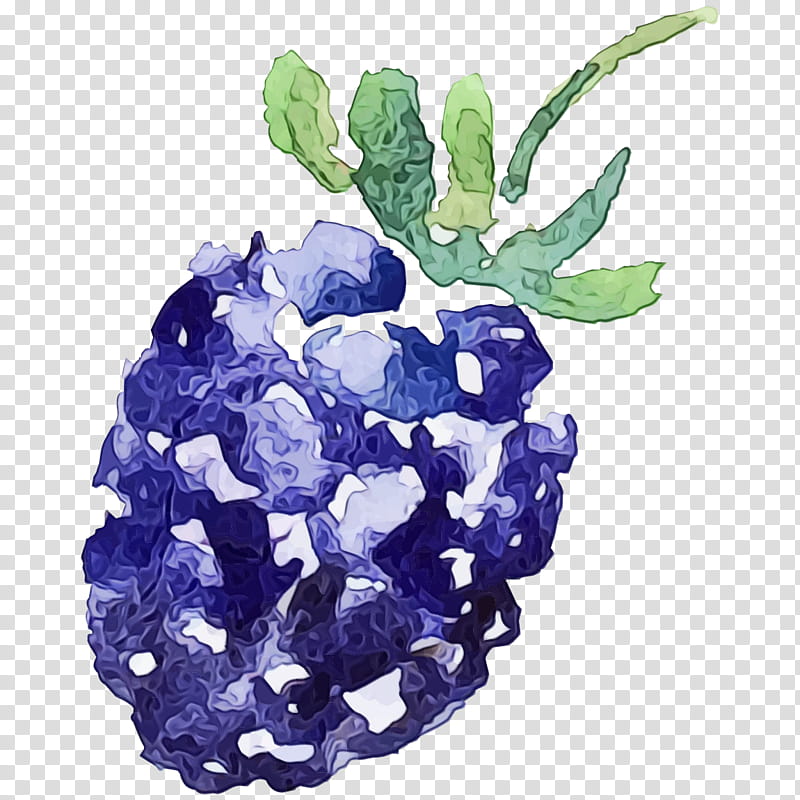 blue leaf cobalt blue plant hydrangea, Watercolor, Paint, Wet Ink, Flower, Watercolor Paint, Vitis, Fruit transparent background PNG clipart