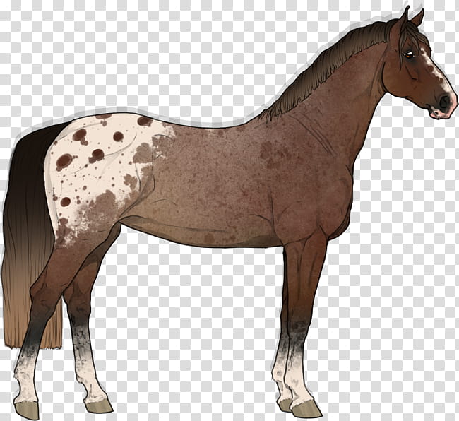 Horse, Tennessee Walking Horse, Pony, Schleich, Toy, Figurine, Breyer Animal Creations, Animal Figure transparent background PNG clipart