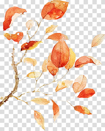 Watercolor Flower, orange leaf illustration transparent background PNG clipart