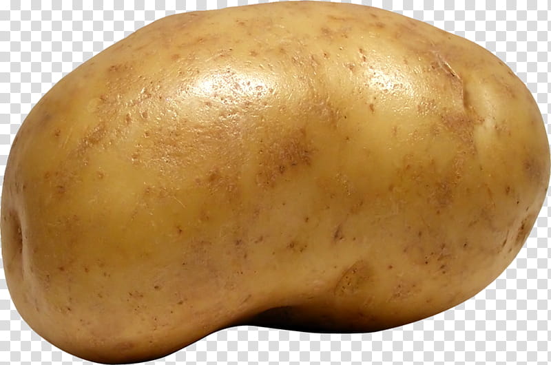 Gold, Russet Burbank Potato, Yukon Gold Potato, Tuber, 2018, Vegetable, Tomato, August 7 transparent background PNG clipart