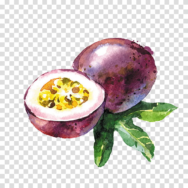Watercolor Drawing, Watercolor Painting, Passion Fruit, Food, Superfood, Vegetable, Natural Foods transparent background PNG clipart