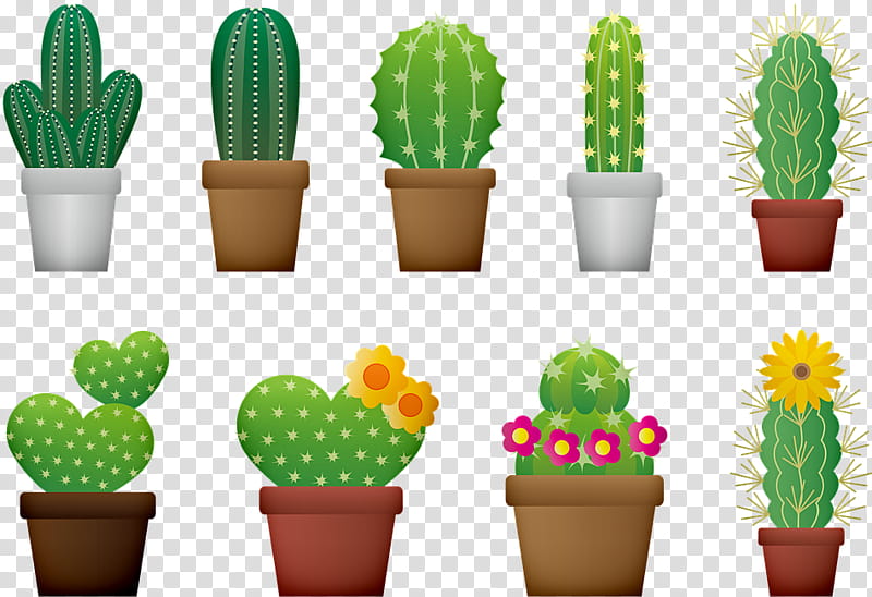 Cactus, Flowerpot, Houseplant, Grass, Hedgehog Cactus, Succulent Plant, Caryophyllales, Baking Cup transparent background PNG clipart