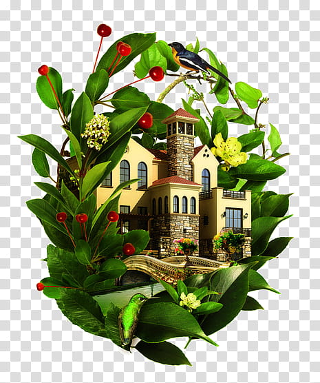 Pond, Villa, Architecture, Tuscany, Landscape Architecture, Internet, Garden, Flowerpot transparent background PNG clipart