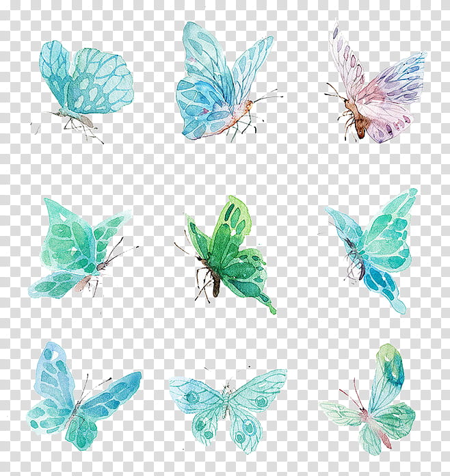assorted-colored butterflies transparent background PNG clipart