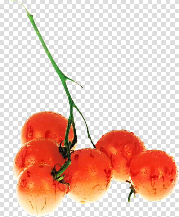Tomato, Tomato Juice, Cherry Tomato, Food, Vegetable, Cheese And Tomato Sandwich, Plum Tomato, Bush Tomato transparent background PNG clipart