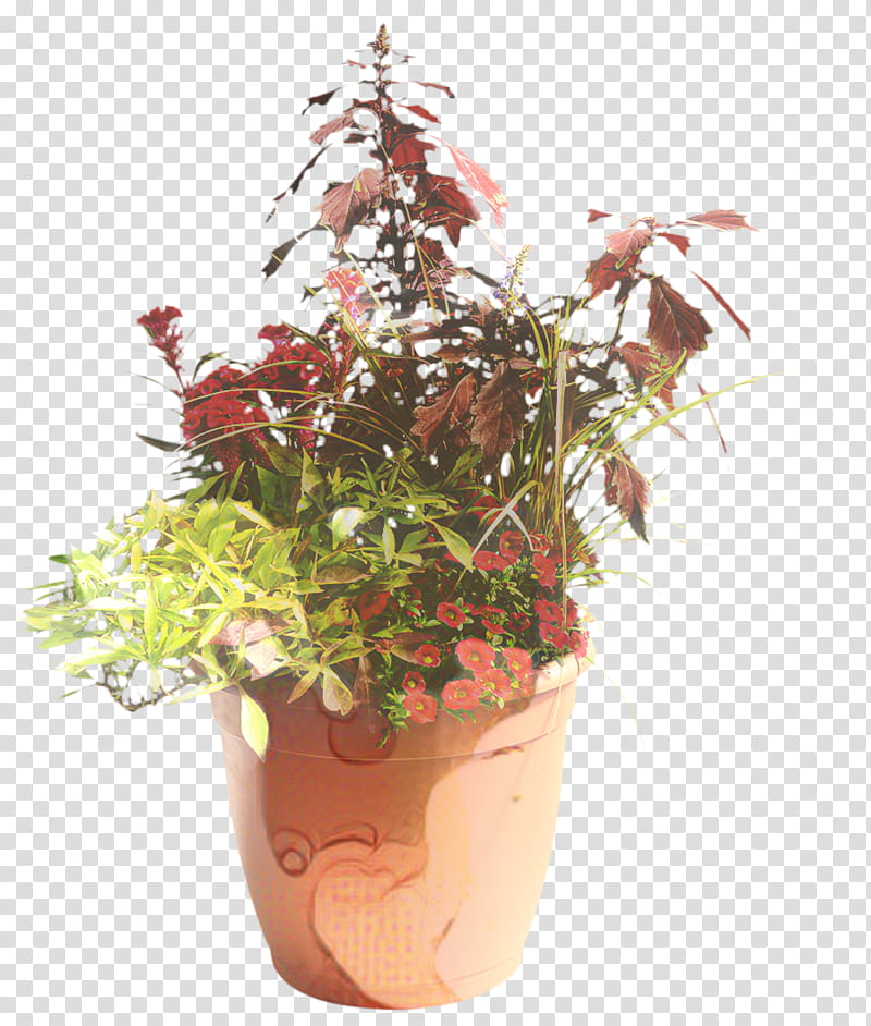 Flowers, Cut Flowers, Flowerpot, Houseplant, Herb, Impatiens, Anthurium, Lobelia transparent background PNG clipart