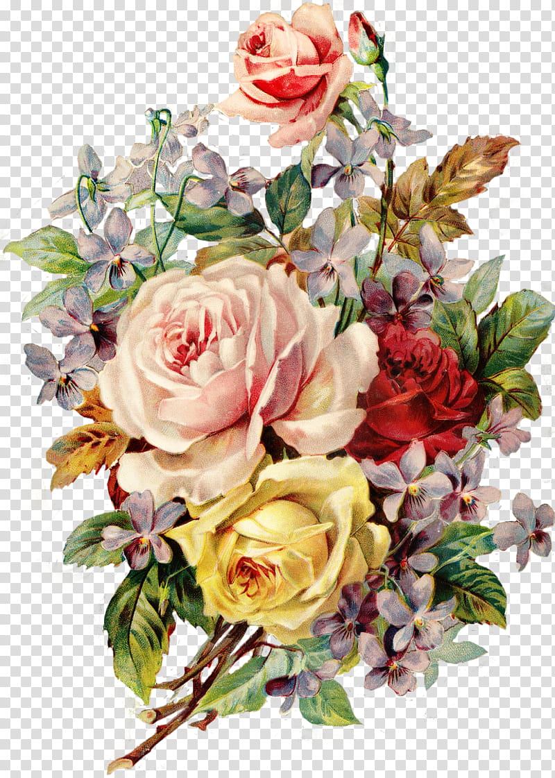 Vintage Flowers, pink and yellow rose flower illustration transparent background PNG clipart