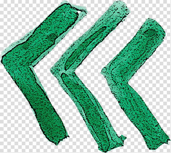 green transparent background PNG clipart