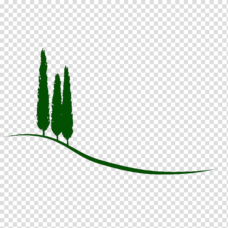 Green Leaf Logo, Florence, Health, Empoli, Metropolitan City Of Florence, Tuscany, Plant, Grass Family transparent background PNG clipart