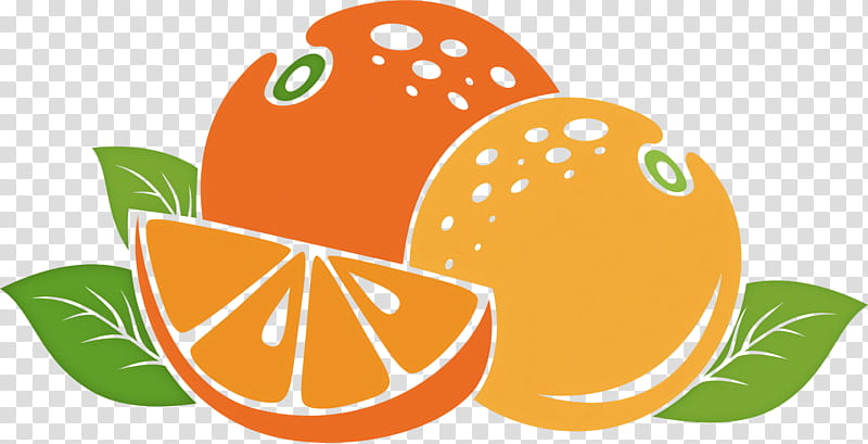 Orange, Citrus, Mandarin Orange, Grapefruit, Tangerine, Valencia Orange, Tangelo transparent background PNG clipart
