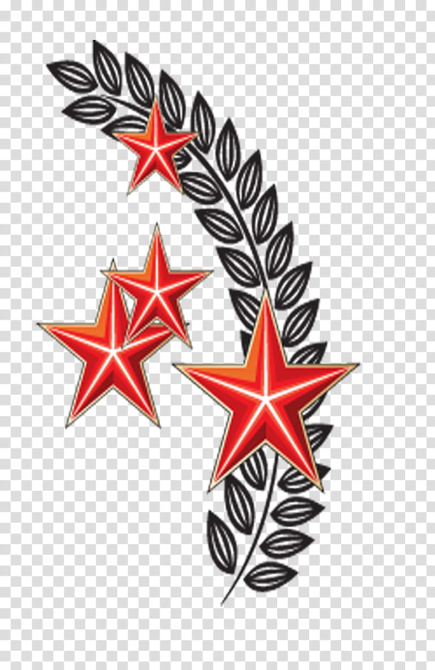 Leaf Ribbon, Victory Day, Ribbon Of Saint George, Great Patriotic War, Georgiy Lentasi Aksiyasi, Logo, Holiday, Order Of Victory transparent background PNG clipart