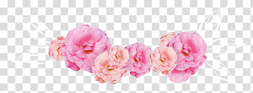 Flower s, pink and white petaled flowers -panel painting transparent background PNG clipart