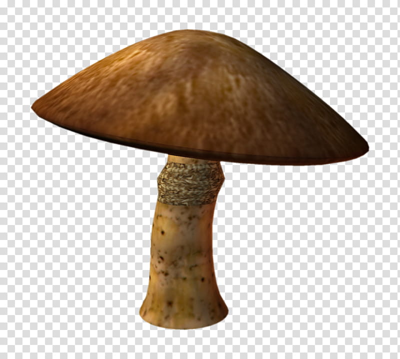 D Wonderland Shrooms, brown and white ceramic table lamp transparent background PNG clipart
