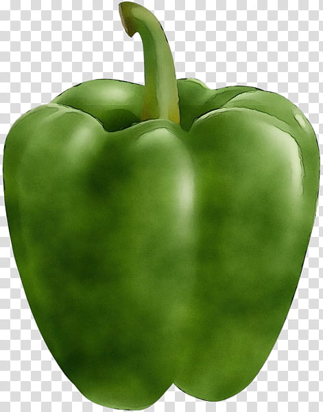 bell pepper pimiento green bell pepper green capsicum, Watercolor, Paint, Wet Ink, Bell Peppers And Chili Peppers, Vegetable, Natural Foods, Plant transparent background PNG clipart