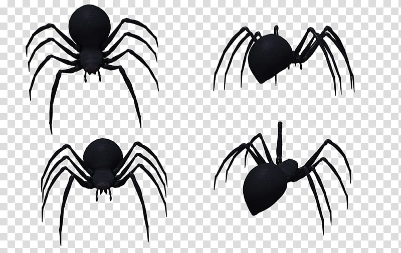 Black Widow Spider Set , four black spiders illustration transparent background PNG clipart