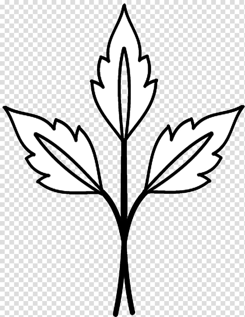 black leaves art transparent background PNG clipart