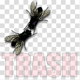 Fly dock icons, TRASH FULL, two house fly transparent background PNG clipart