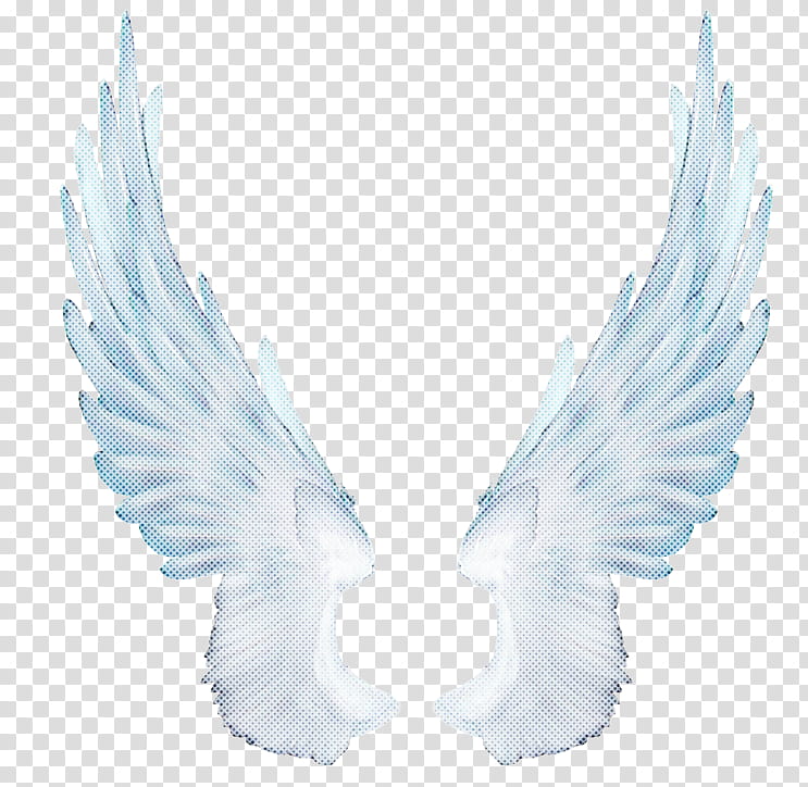 Feather, White, Wing, Pigeons And Doves, Fictional Character, Bird, Beak, Rock Dove transparent background PNG clipart