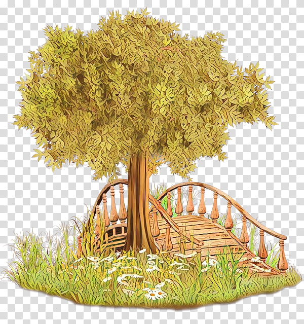 Family Tree, Cartoon, Garden, Woody Plant, Plants, Blog, Ash, Pine transparent background PNG clipart