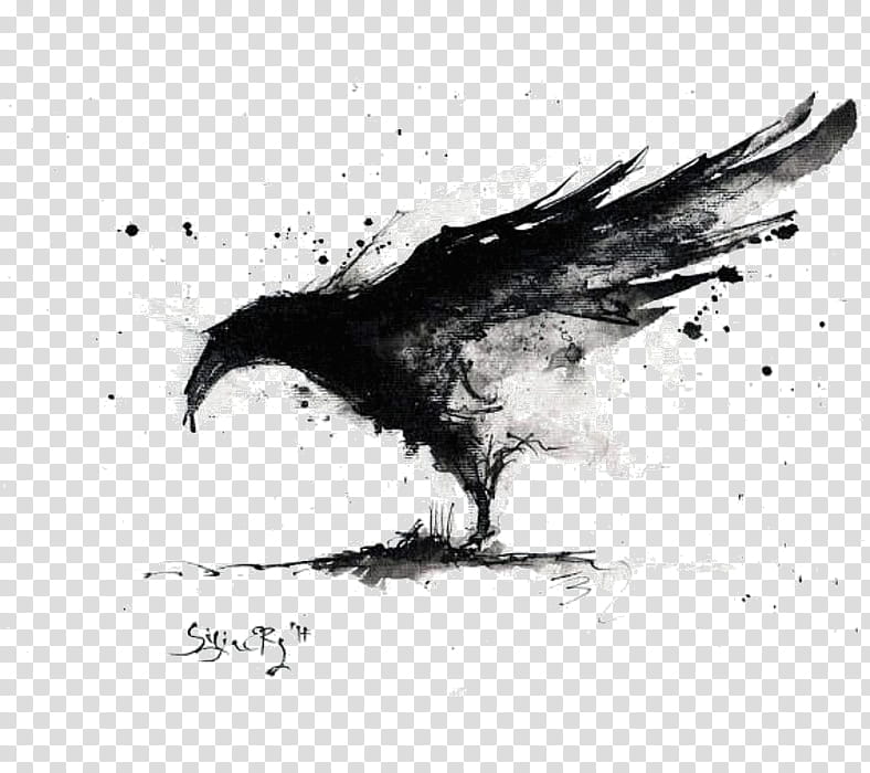 Ink Abstract, Common Raven, Abstract Art, Painting, Canvas, Artist, Crow, Canvas Print transparent background PNG clipart