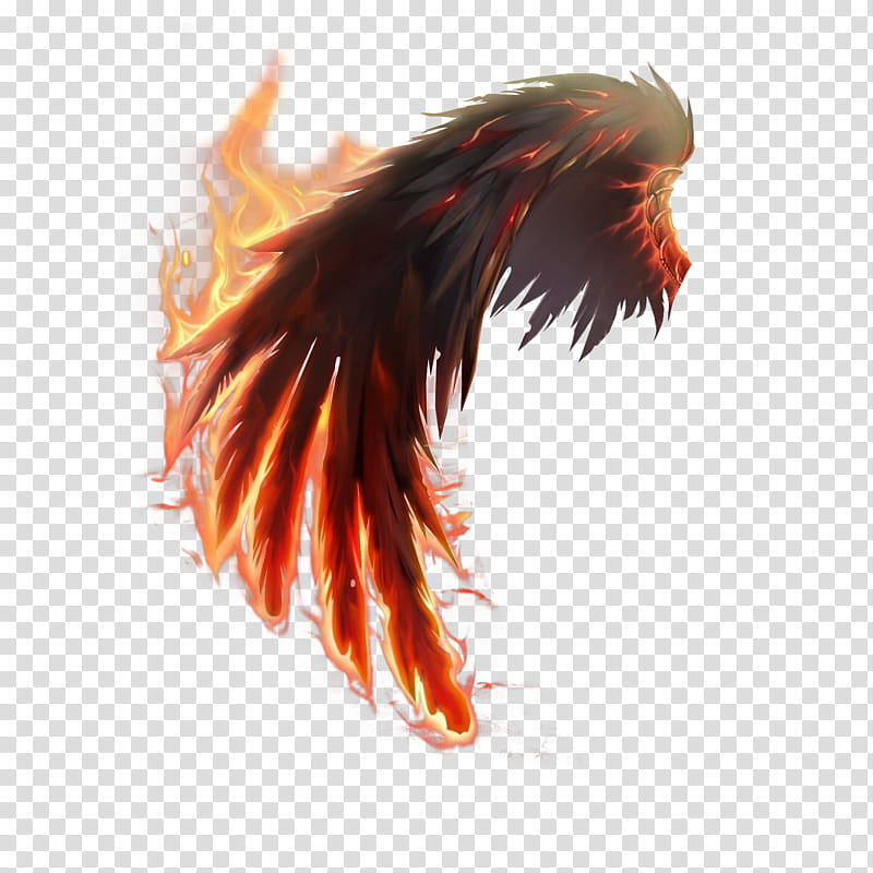 Fire Wing, black wings on fire transparent background PNG clipart