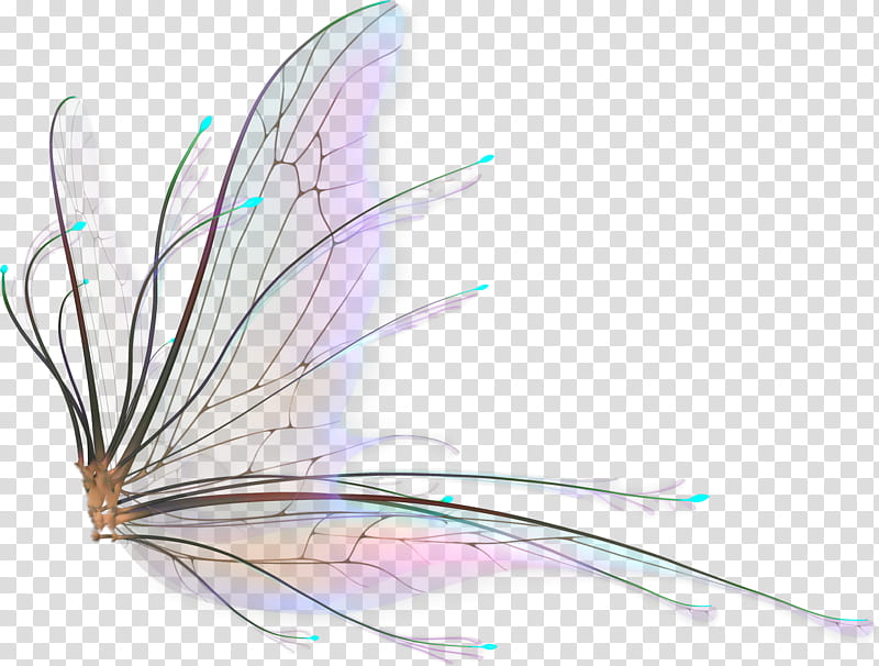 Recursos, Fairy Wings overlay transparent background PNG clipart