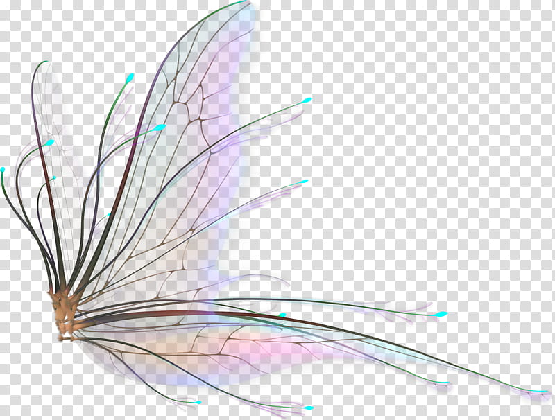 Recursos, purple and teal wings illustration transparent background PNG clipart