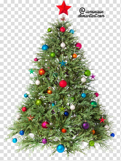 Xmas tree , green Christmas tree transparent background PNG clipart