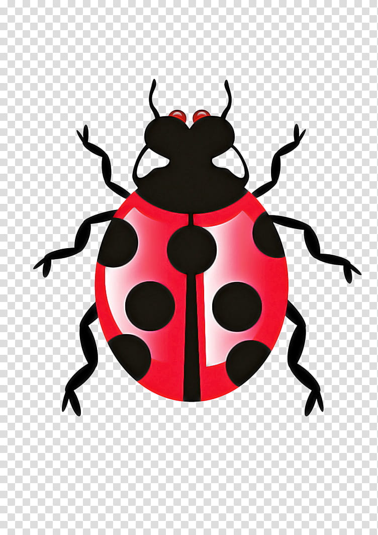 Ladybird, Insect, Software Bug, Computer Software, Ladybird Beetle, Pest, Darkling Beetles transparent background PNG clipart