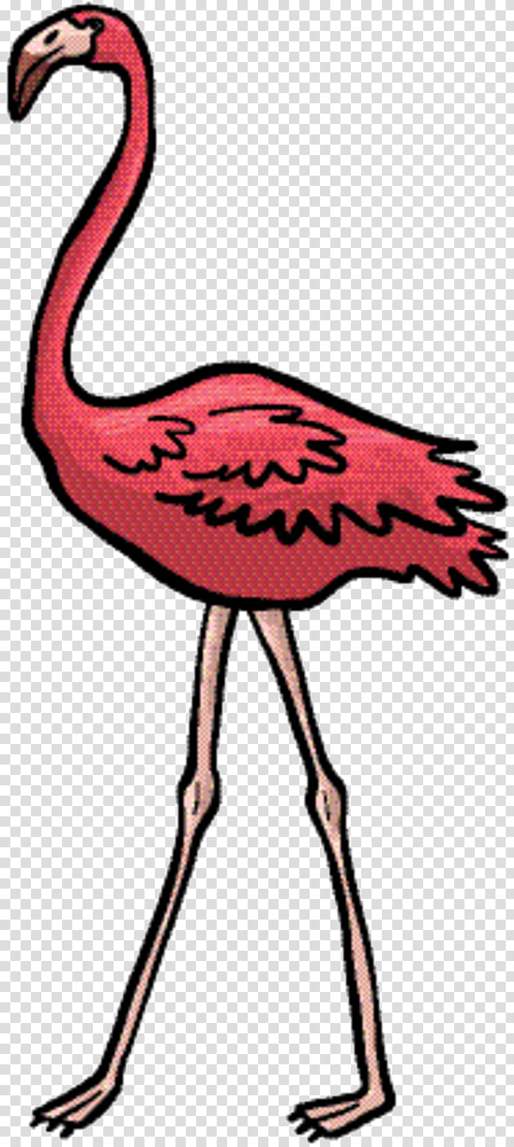 Pink Flamingo, Art, Fauna, Pink M, Neck, Beak, Greater Flamingo, Bird transparent background PNG clipart