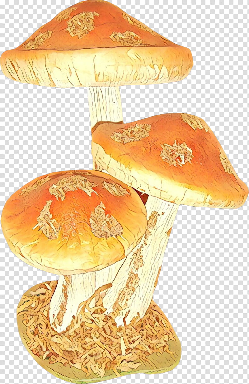 Orange, Cartoon, Medicinal Mushroom, Agaricomycetes, Edible Mushroom, Agaricaceae, Agaricus, Fungus transparent background PNG clipart