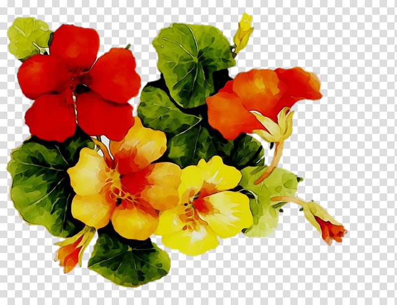 Artificial Flower, Annual Plant, Herbaceous Plant, Violet, Plants, Violaceae, Petal, Nasturtium transparent background PNG clipart