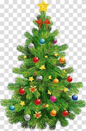 Christmas tree, Christmas Decoration, Oregon Pine, Colorado Spruce, Christmas Ornament, Holiday Ornament, Plant, Conifer transparent background PNG clipart thumbnail