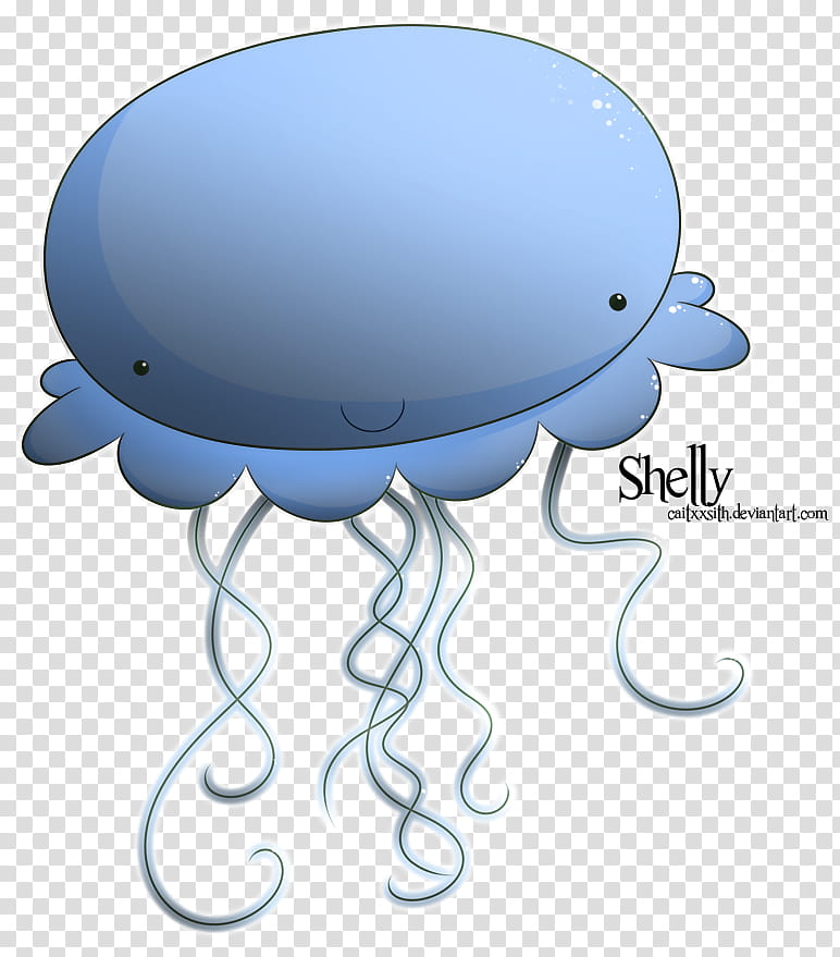 Shelly transparent background PNG clipart