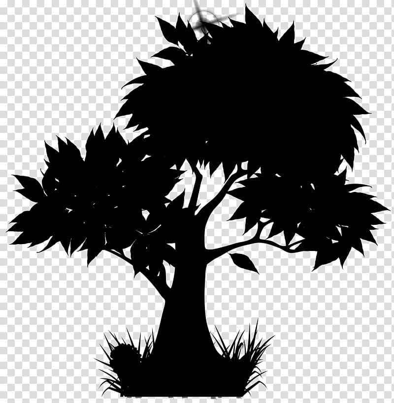 Palm Tree, May Fourth Movement, Huaiyang County, Common Carp, November, 2018, Nanchang, China transparent background PNG clipart