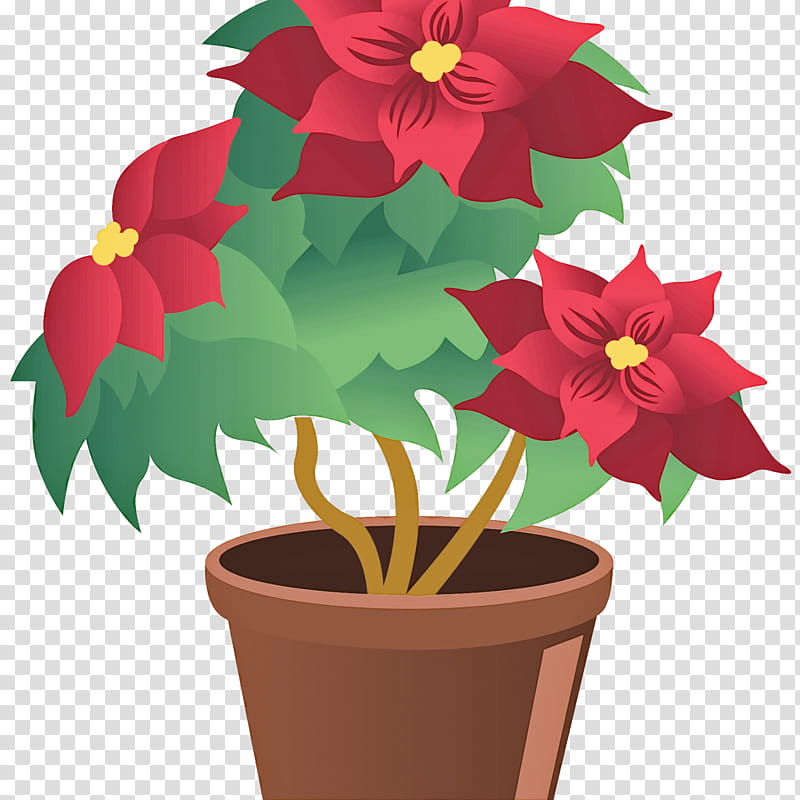 flower flowerpot poinsettia plant, Houseplant, Flowering Plant, Petal, Impatiens, Herbaceous Plant transparent background PNG clipart