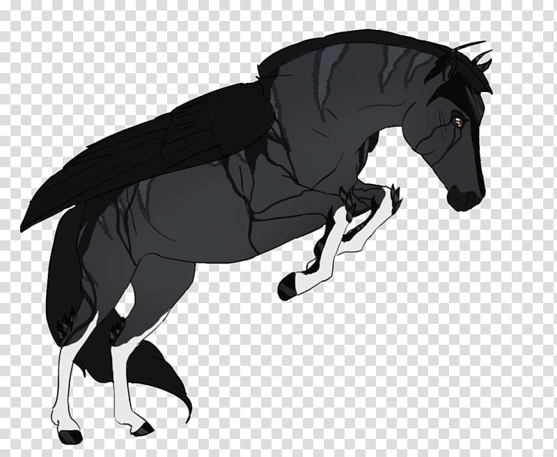 Dog Silhouette, Mane, Mustang, Stallion, Rein, Bridle, English Riding, Halter transparent background PNG clipart