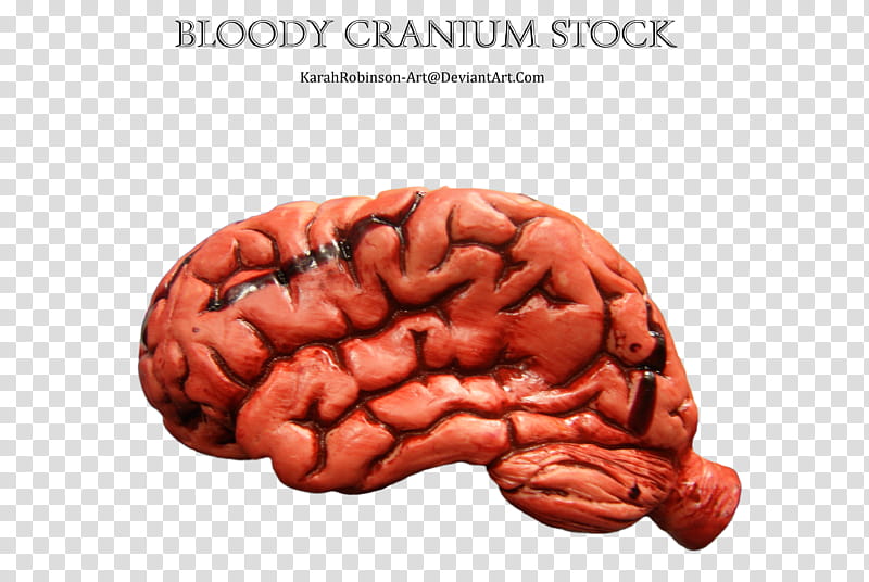 Bloody Cranium, bloody cranium brain figurine transparent background PNG clipart
