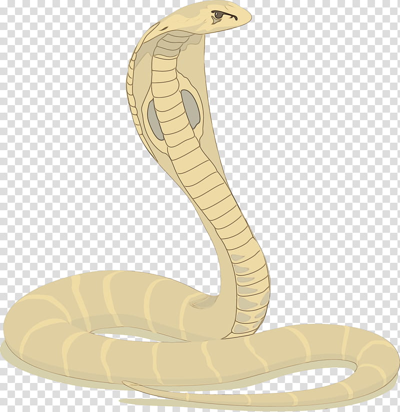 Snake, Indian Cobra, Rattlesnake, Mambas, Snakes, Vipers, Animal, King Cobra transparent background PNG clipart