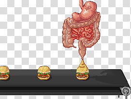 Eating Crap, human intestine transparent background PNG clipart