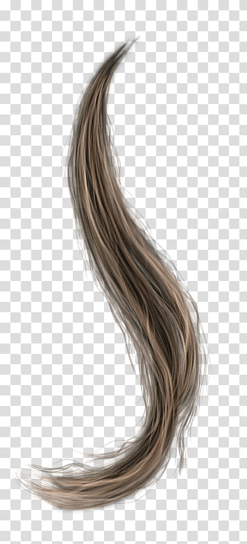 Hair, Wig, Head Hair, Blond, Hairstyle, Brown Hair, Long Hair, Cuticle transparent background PNG clipart